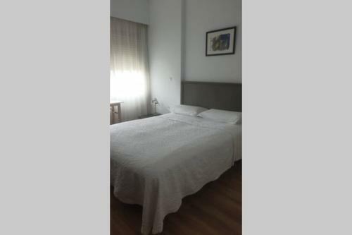 Apartamento Habitaci�n Privada En El Centro