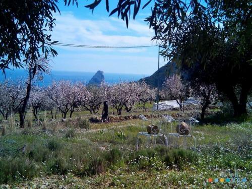 Vh Costablanca - Pinos