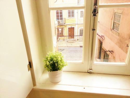 Eco Green Studio Apartment