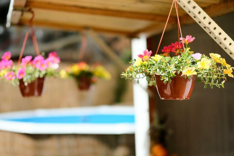 Hostal Casinha Das Flores