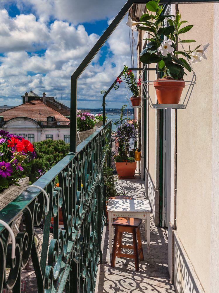 Hostal Casinha Das Flores