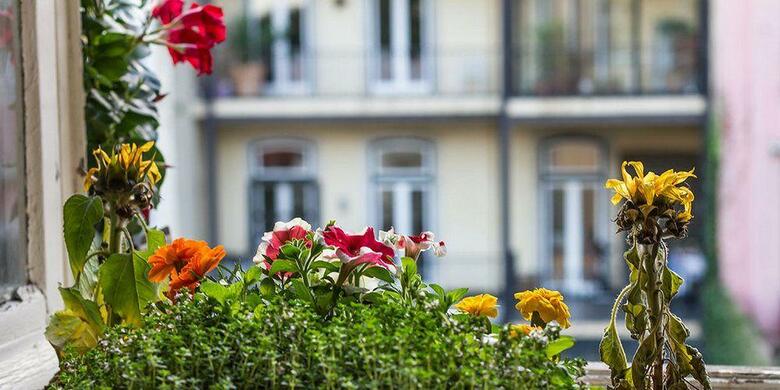 Hostal Casinha Das Flores