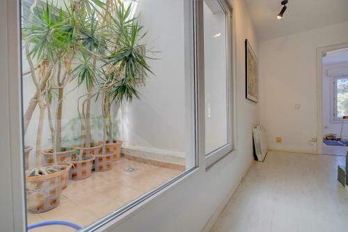 Ancla 1 House