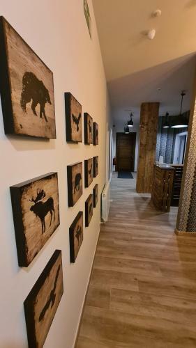 Hostal Asieran