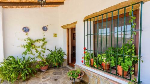 Villa Casa Crinum Antequera