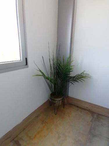 Apartamento Gofioplaya 2.0