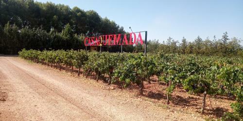 Bodega Y Casa Casaquemada