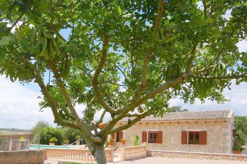 Casa Sa Rota