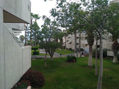 Garden View Apartment In Las Galletas