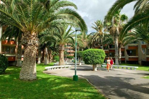 Garden View Apartment In Las Galletas