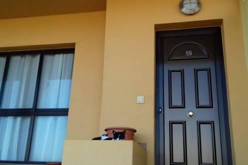 Beachfront House In Playa de Arinaga
