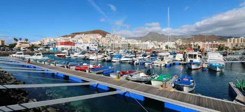 Apartamento Studio In Arona With Wifi