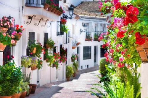 Studio Apartment Benalmadena - Cos02106e-sya