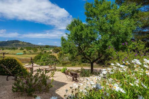 Villa S'hort de Carrossa