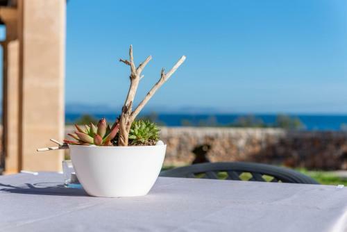 Villa Es Corb Mar�