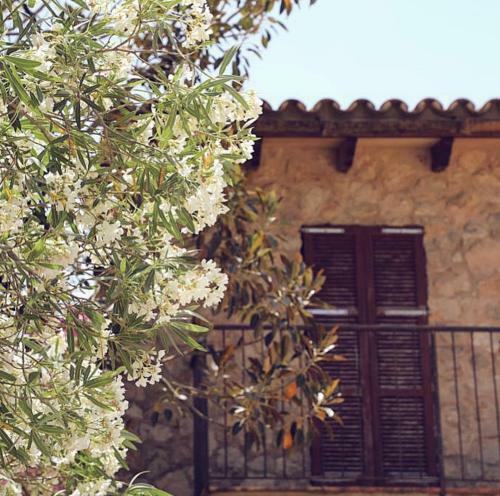 Finca Ses Eres