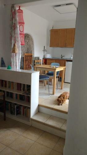 Apartamento Casa Gio