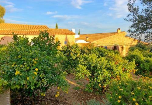 Arta Holiday Home Sleeps 12 With Pool And Wifi