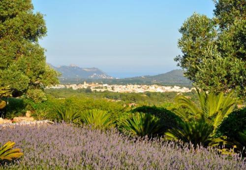 Arta Holiday Home Sleeps 12 With Pool And Wifi