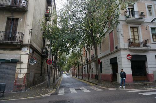 Albergue Camino B&B