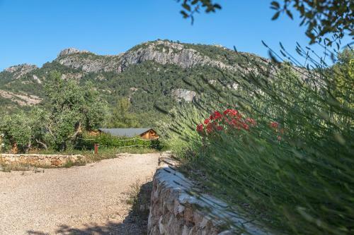 Beceite Camping