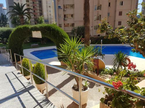 Apartment Alteanos V - Benidormland