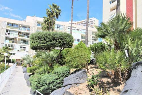 Apartamento Atico Levante Torre Montecarlo