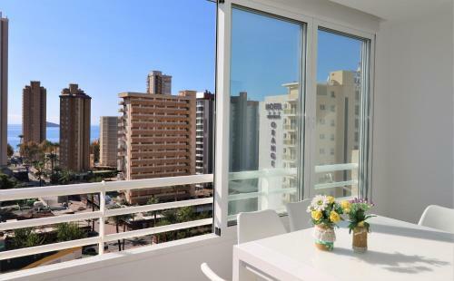 Apartamento Torre Domo 9-d