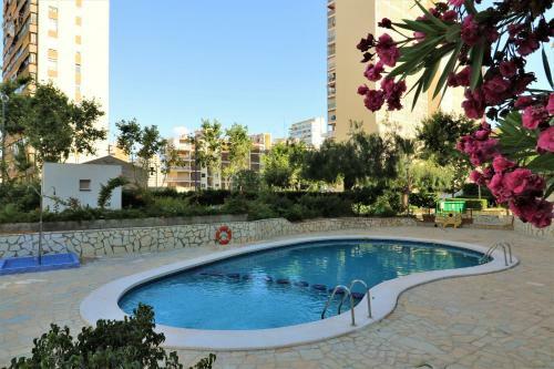 Apartamento Auge 4-a
