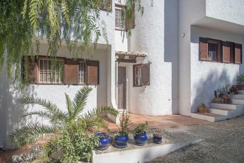 Villas Guzman - Kartina