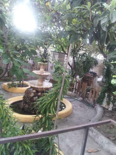 Hostal Mana Guest House