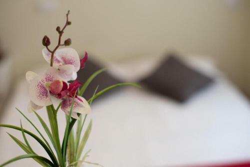 Bed & Breakfast Casa Rural Casa Maza