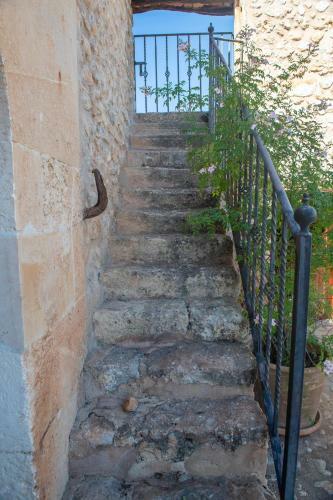 Finca Ses Planes
