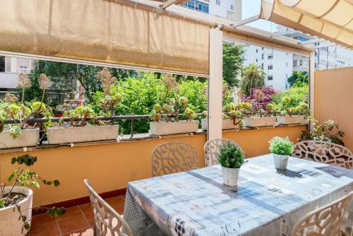 Apartamento Apto Kbm 1