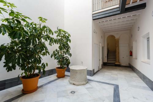 Apartamento Tango By Cadiz4rentals