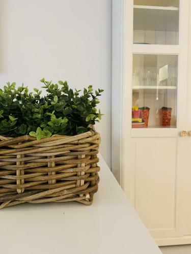 Apartamento Las Caracolas By Cadiz4rentals