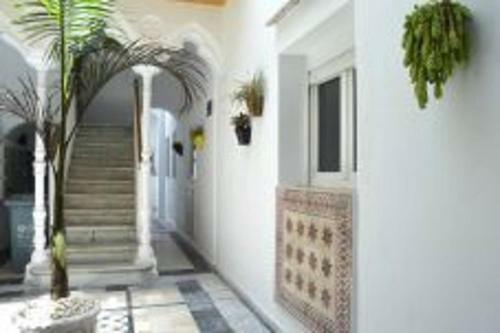 Apartment Veedor 19 Days And Many Nights