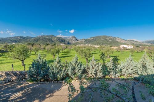 Villa Cas Colector