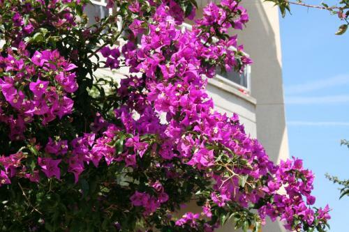 R22-1 Calafell Resort