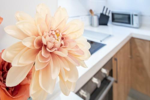 Apartamento Colon En Cadiz