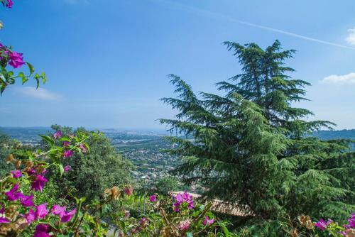 Club Villamar - Cyrus