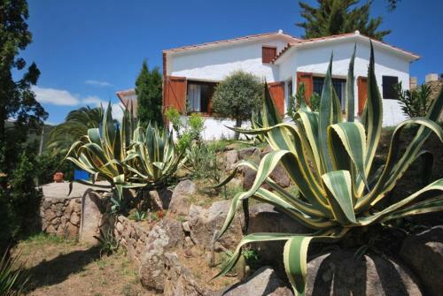 Club Villamar - Roan