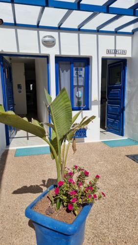 Apartamento Cal�ndula Beach 1�linea Mar