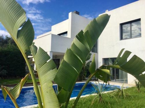 Villa Casa Nostra