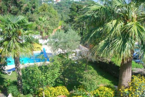 Club Villamar - Citron