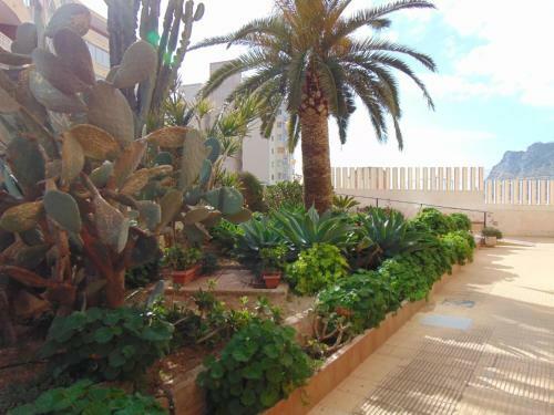 Apartamentos President 3�d