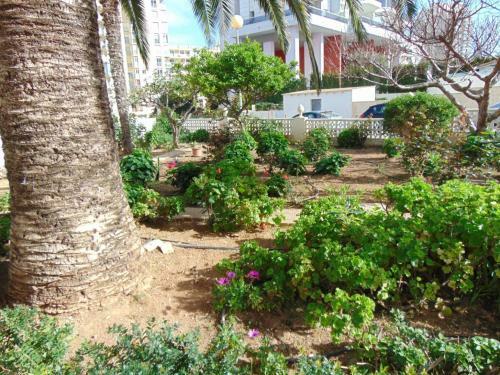 Apartamentos President 3�d