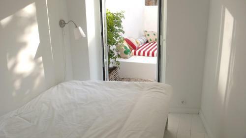 Apartamento Oliveirinha