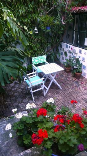 Apartamento Oliveirinha