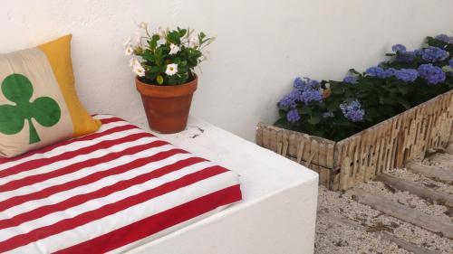 Apartamento Oliveirinha